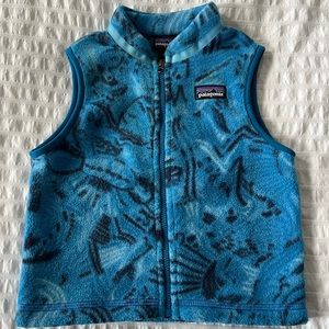 EUC Boys 2T Patagonia Synchilla Vest